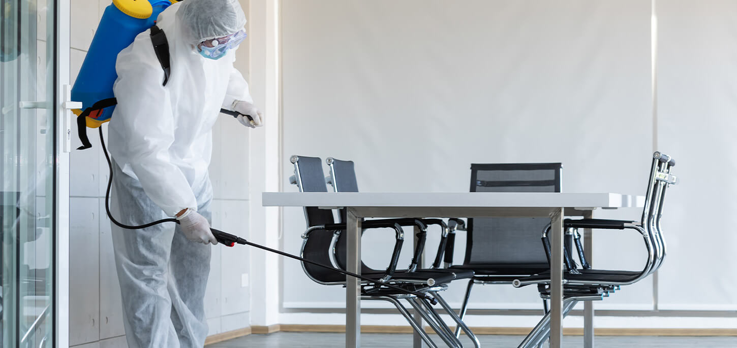 ¿Tienes negocios? También te ayudamos a eliminar las plagas