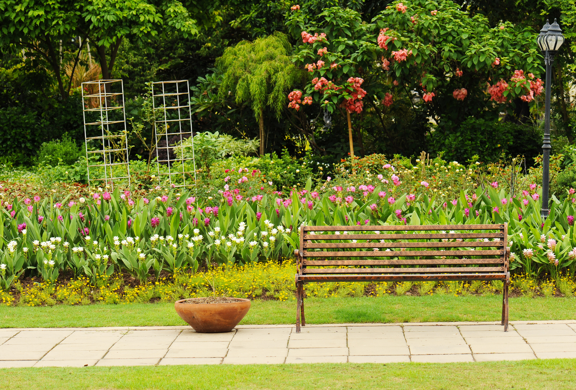 Cómo proteger los jardines comunitarios de Las Rozas frente a las plagas tras la lluvia