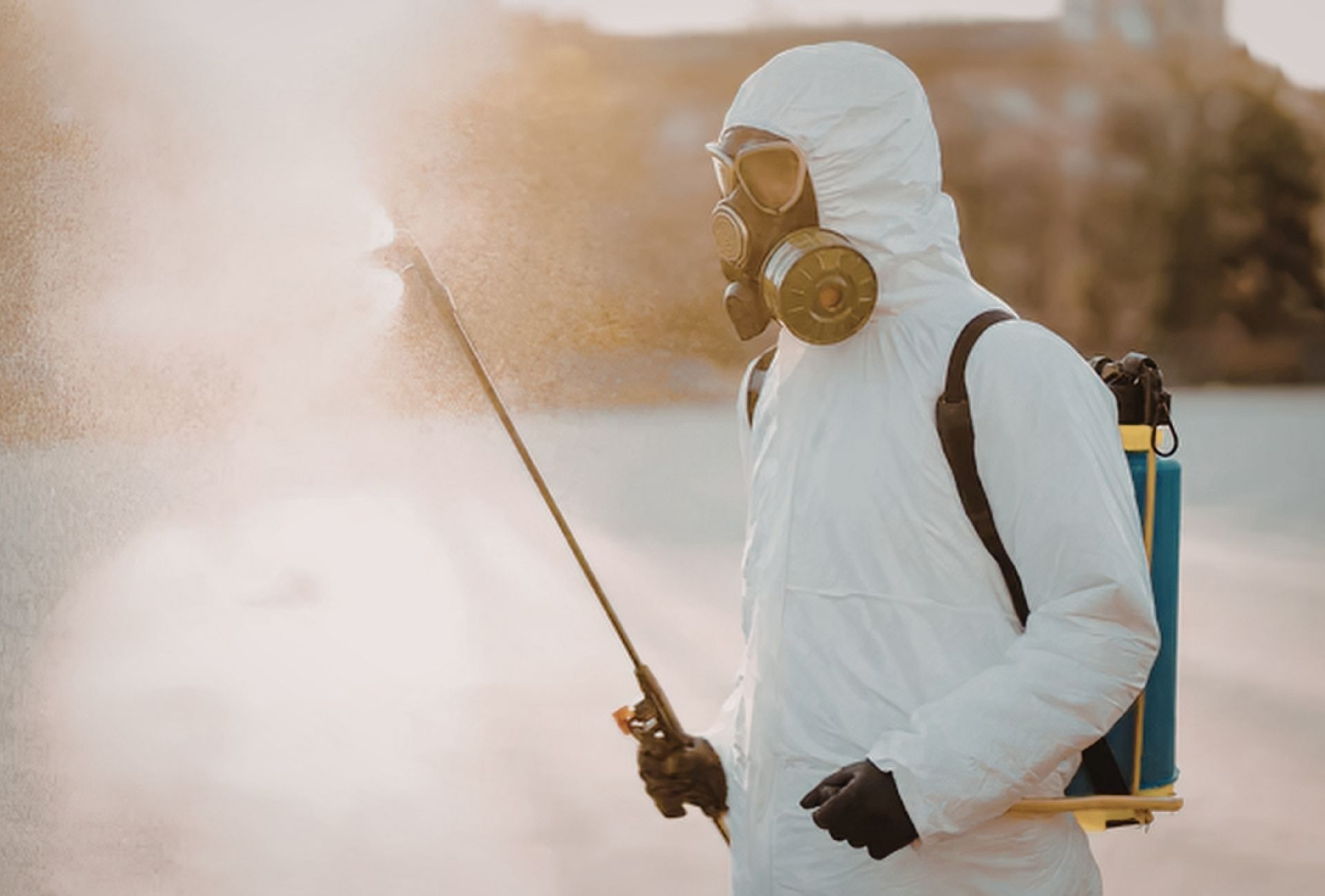 Las Rozas y las plagas en zonas mixtas: cuando viviendas y negocios comparten el mismo problema